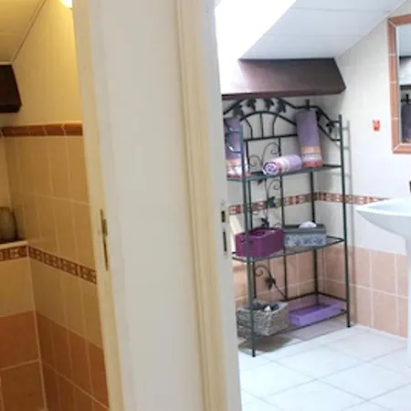 De 2 Chambres Avec Piscine Partagee Et Jardin Clos A Ocagnano A 4 Km De La * Sorbo-Ocagnano